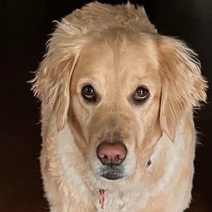 Meet your Posher, Jillian